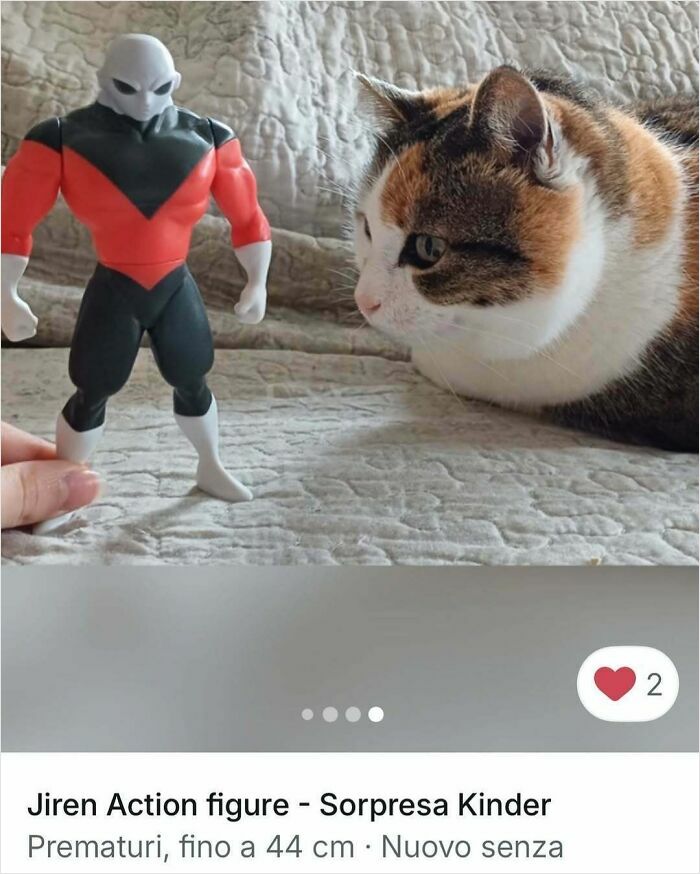 Cats Crashing Vinted Listings Like Total Pros