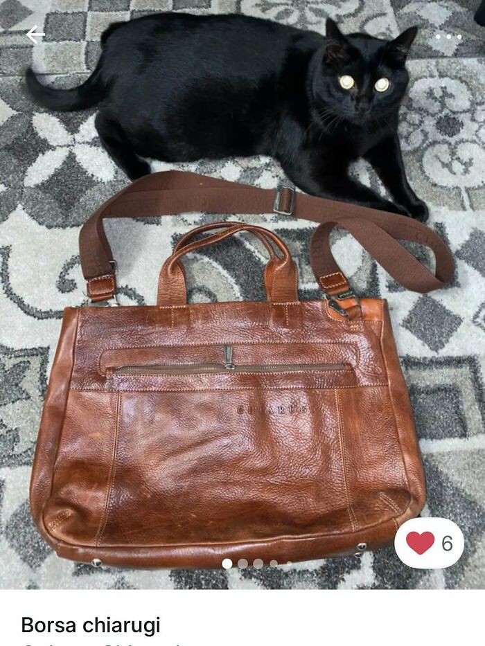 Cats Crashing Vinted Listings Like Total Pros