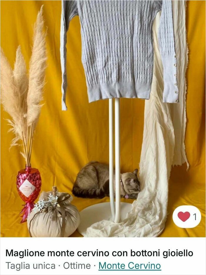 Cats Crashing Vinted Listings Like Total Pros