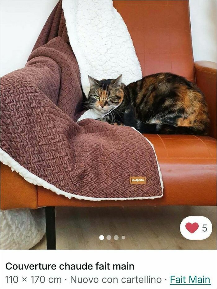 Cats Crashing Vinted Listings Like Total Pros