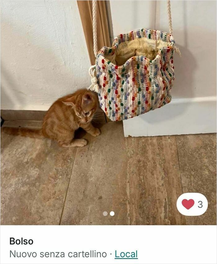 Cats Crashing Vinted Listings Like Total Pros