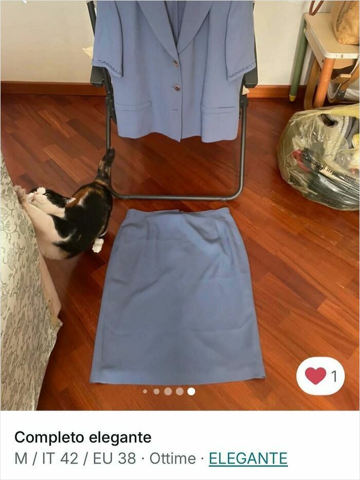 Cats Crashing Vinted Listings Like Total Pros