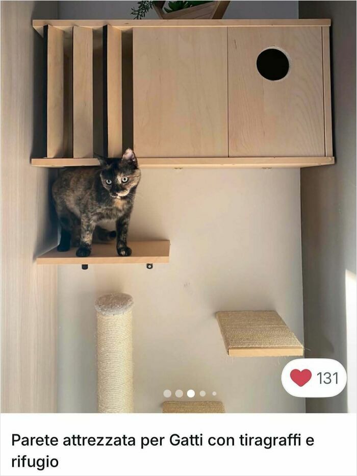 Cats Crashing Vinted Listings Like Total Pros
