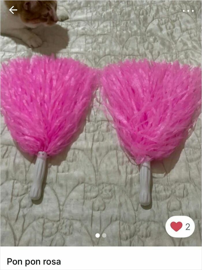 Cats Crashing Vinted Listings Like Total Pros