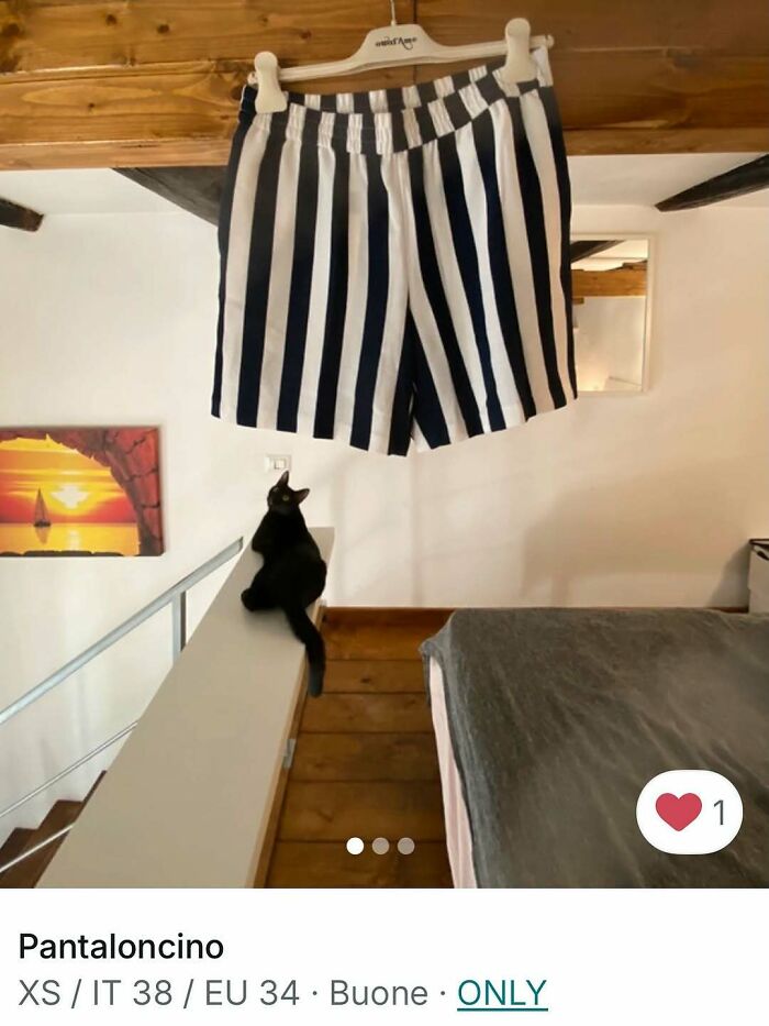 Cats Crashing Vinted Listings Like Total Pros
