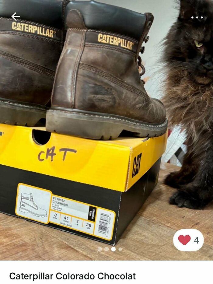 Cats Crashing Vinted Listings Like Total Pros