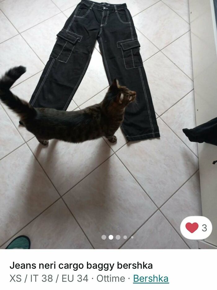 Cats Crashing Vinted Listings Like Total Pros