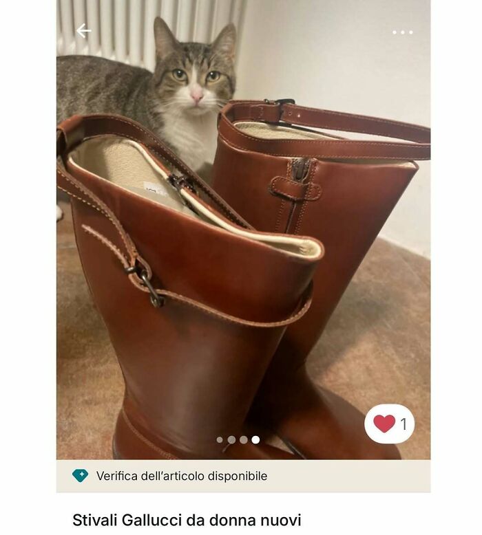Cats Crashing Vinted Listings Like Total Pros