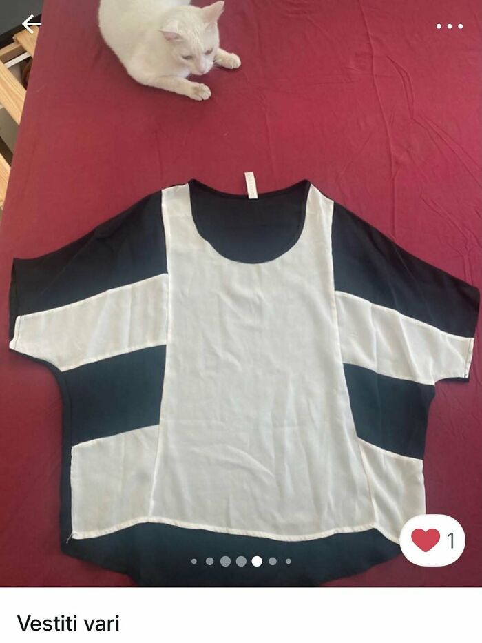 Cats Crashing Vinted Listings Like Total Pros