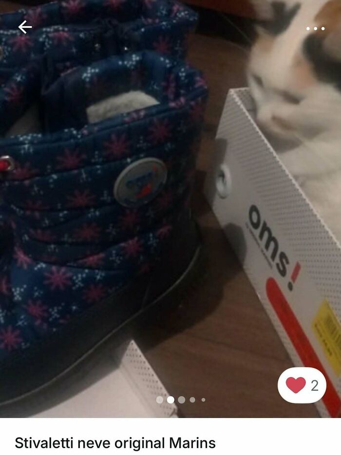 Cats Crashing Vinted Listings Like Total Pros