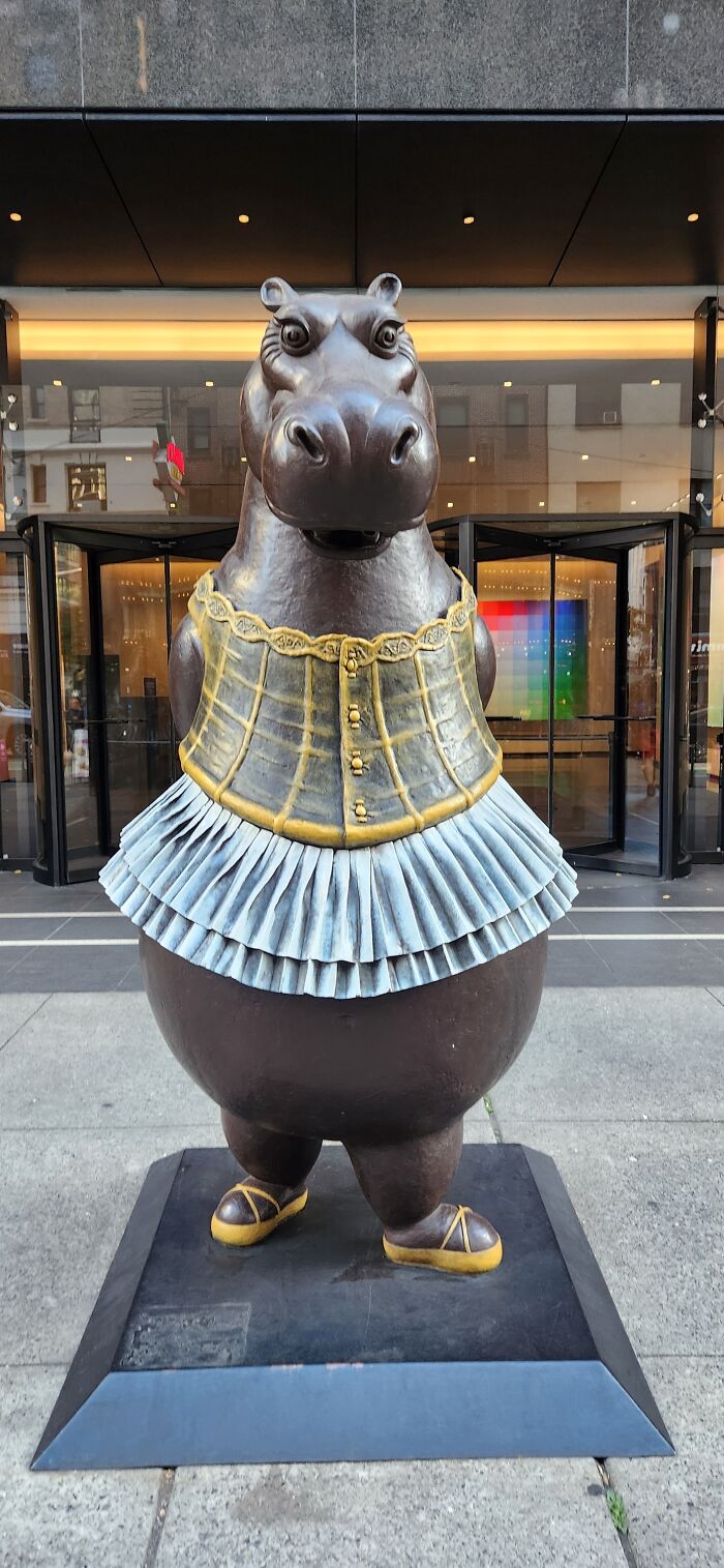 Hippo in a Tutu Saying Hi in NYC