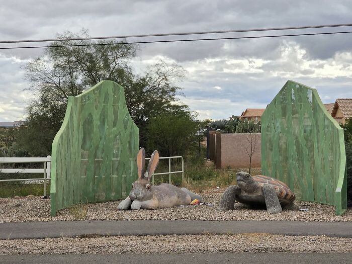 Odd Place, Odd Structure—Cool Find in Tucson, Arizona