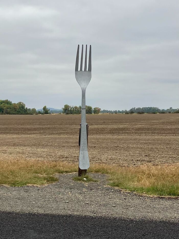 Fork in the Road? Near Lebanon, Oregon