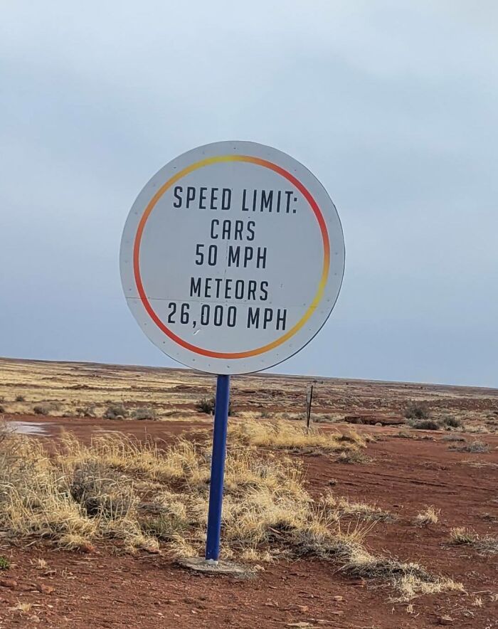 The Quirkiest Roadside Oddities in the USA That You Have to See to Believe