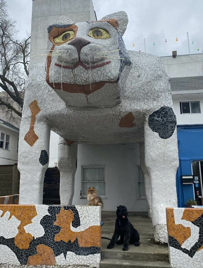 The Quirkiest Roadside Oddities in the USA That You Have to See to Believe