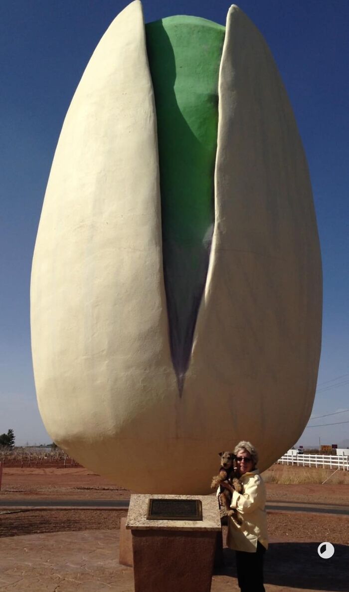 The Quirkiest Roadside Oddities in the USA That You Have to See to Believe