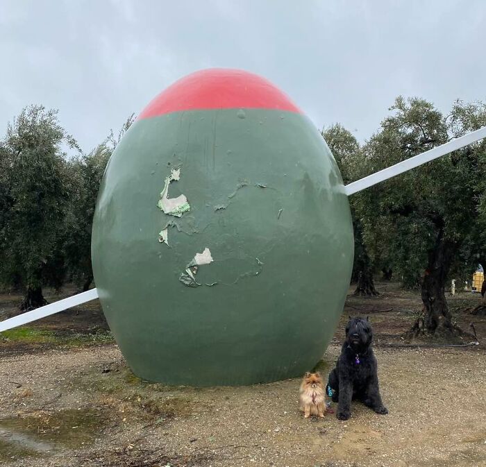 The Quirkiest Roadside Oddities in the USA That You Have to See to Believe