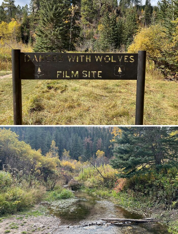 The Quirkiest Roadside Oddities in the USA That You Have to See to Believe