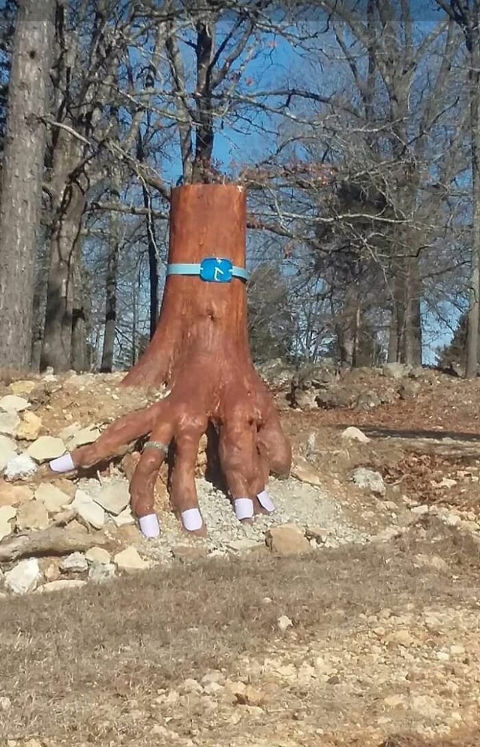 The Quirkiest Roadside Oddities in the USA That You Have to See to Believe