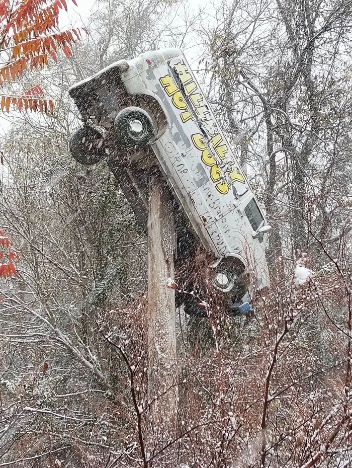 The Quirkiest Roadside Oddities in the USA That You Have to See to Believe