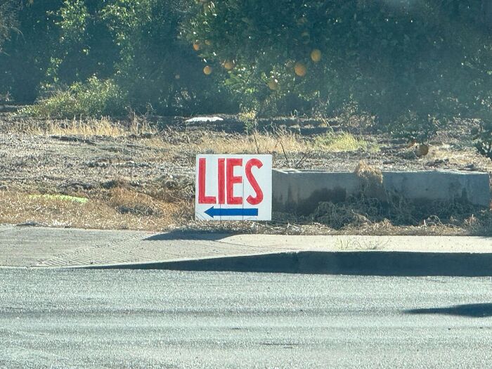 The Quirkiest Roadside Oddities in the USA That You Have to See to Believe