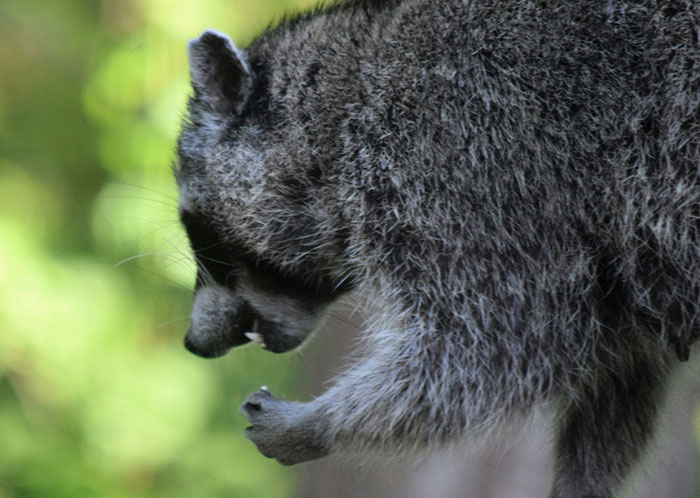 The Wildest Tales From Real-Life Homelessness That’ll Totally Surprise You