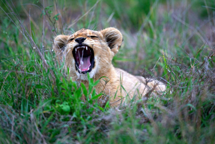 Wait, People Actually Realized These Childhood Things Weren't Normal?