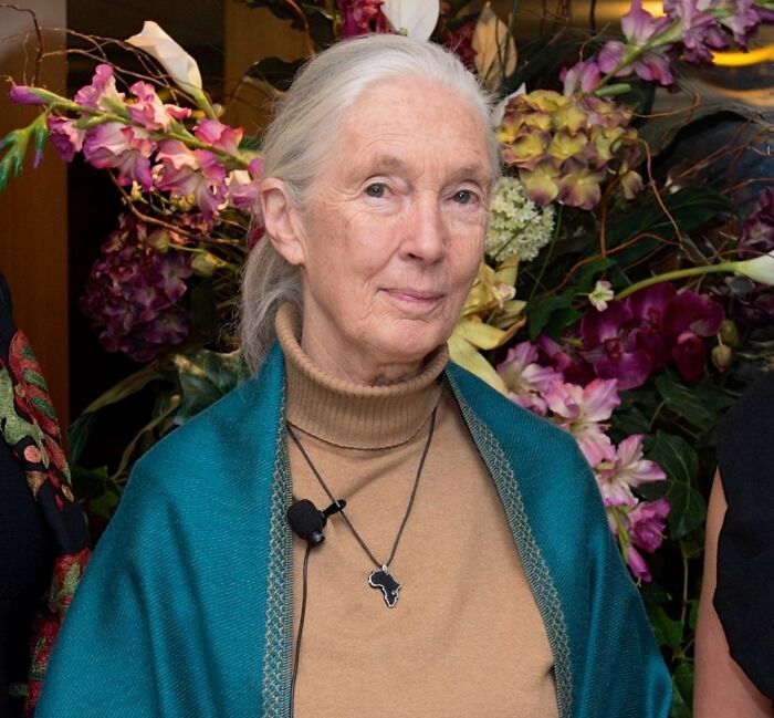 Jane Goodall, The Chimpanzee Whisperer