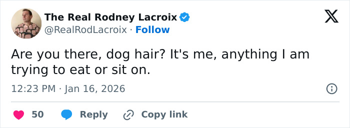 69 Dad & Husband Tweets That Nail That Hilarious Everyday Chaos