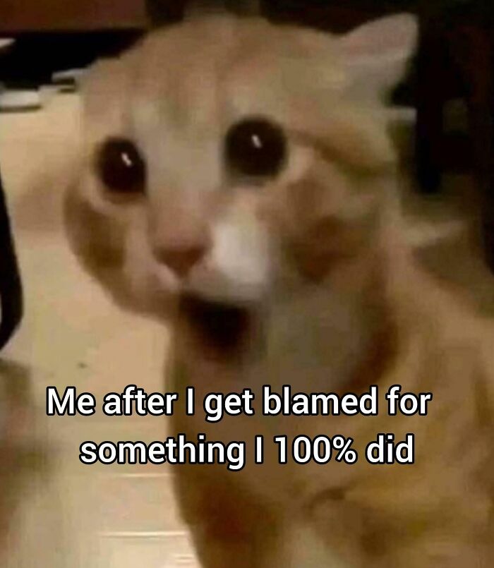 We Found 55 Memes That Are Way Too Relatable (And Hilarious!)