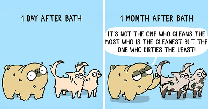 Mochi The Pug: Master of Chaos and Cuteness in 24 Comics