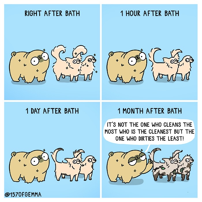 Mochi The Pug: Master of Chaos and Cuteness in 24 Comics