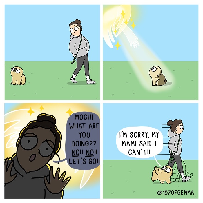 Mochi The Pug: Master of Chaos and Cuteness in 24 Comics