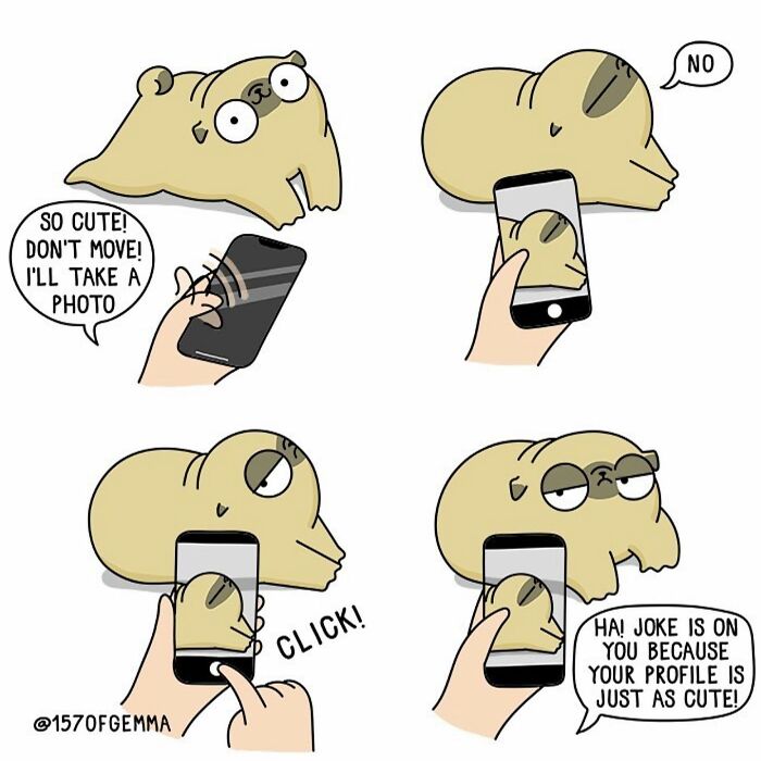 Mochi The Pug: Master of Chaos and Cuteness in 24 Comics