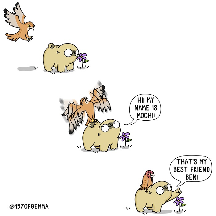 Mochi The Pug: Master of Chaos and Cuteness in 24 Comics