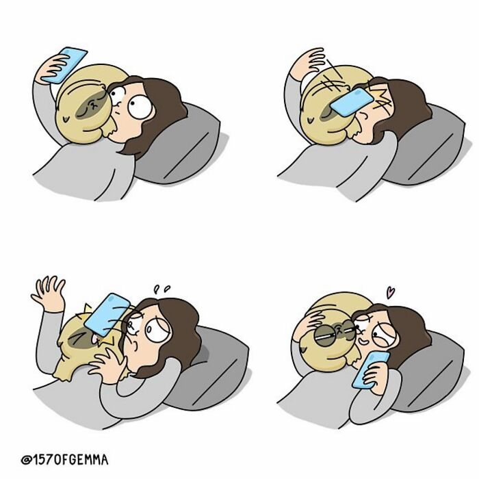 Mochi The Pug: Master of Chaos and Cuteness in 24 Comics