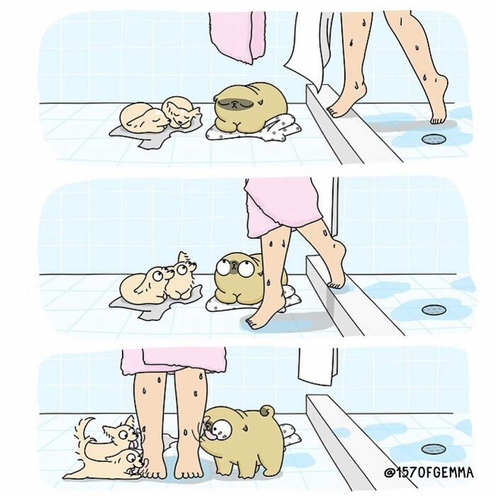 Mochi The Pug: Master of Chaos and Cuteness in 24 Comics