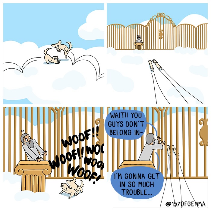 Mochi The Pug: Master of Chaos and Cuteness in 24 Comics