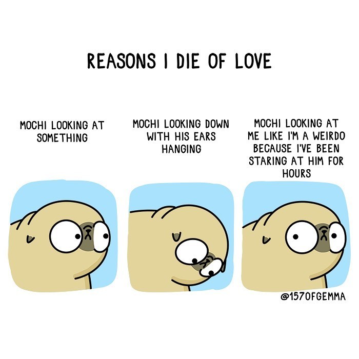 Mochi The Pug: Master of Chaos and Cuteness in 24 Comics