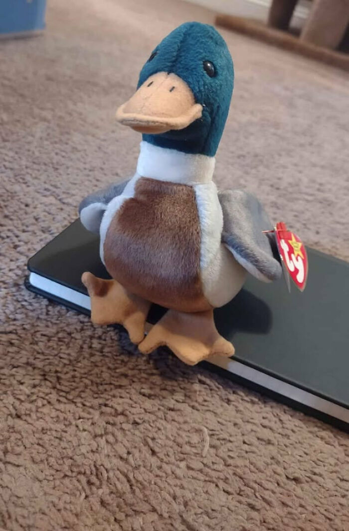 #9 Jake The Mallard ($5,000)