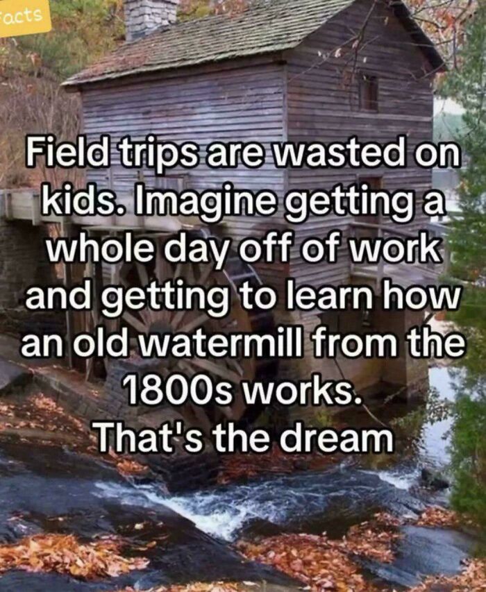 Adult Field Trips Should Totally Be A Thing