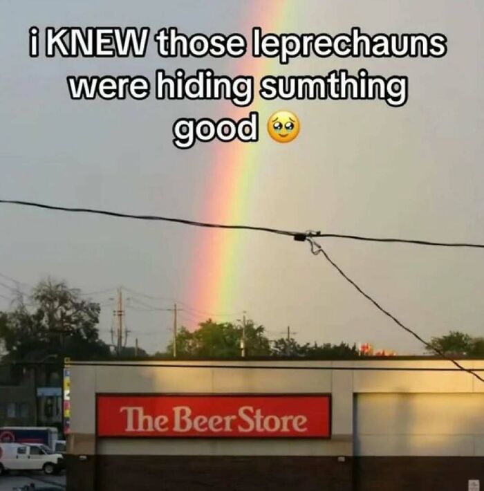 Wait, They Actually Ranked These Hilarious Screenshots?!