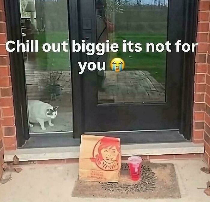 Wait, They Actually Ranked These Hilarious Screenshots?!