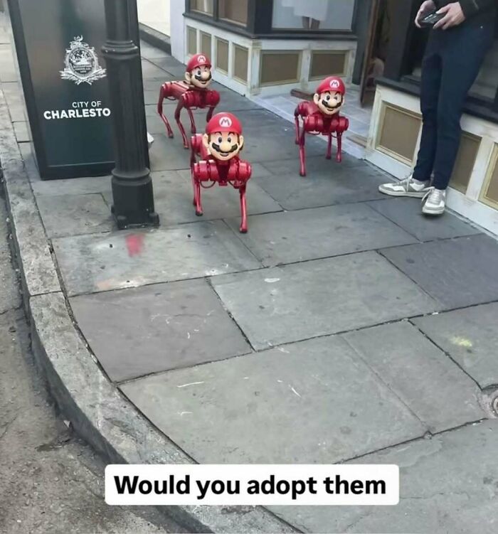 Wait, They Actually Ranked These Hilarious Screenshots?!