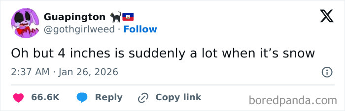 Wait, They Actually Ranked These Funny Tweets From January?