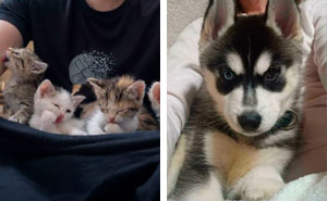74 Adorable New Pets Who Just Hit The Jackpot With Their Forever Homes (January Edition)