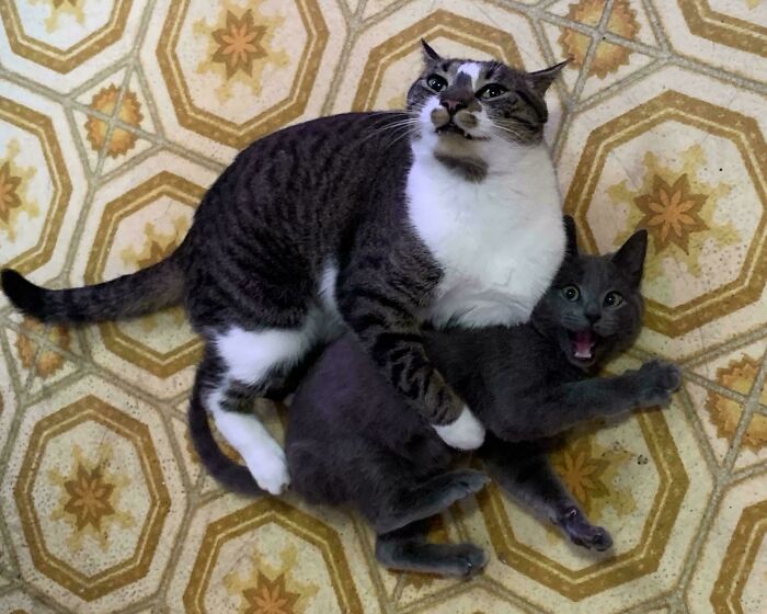 Foster Dad Planned A Pit Stop, Ended Up Adopting For Life!