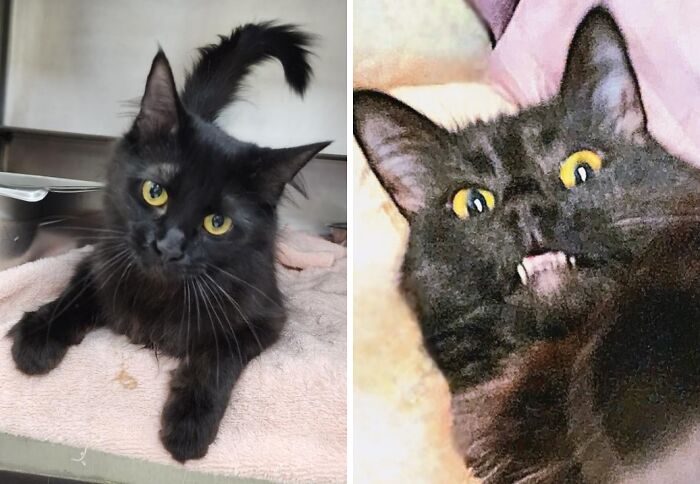 Thought We Were Adopting A Normal Little Girl… Surprise!