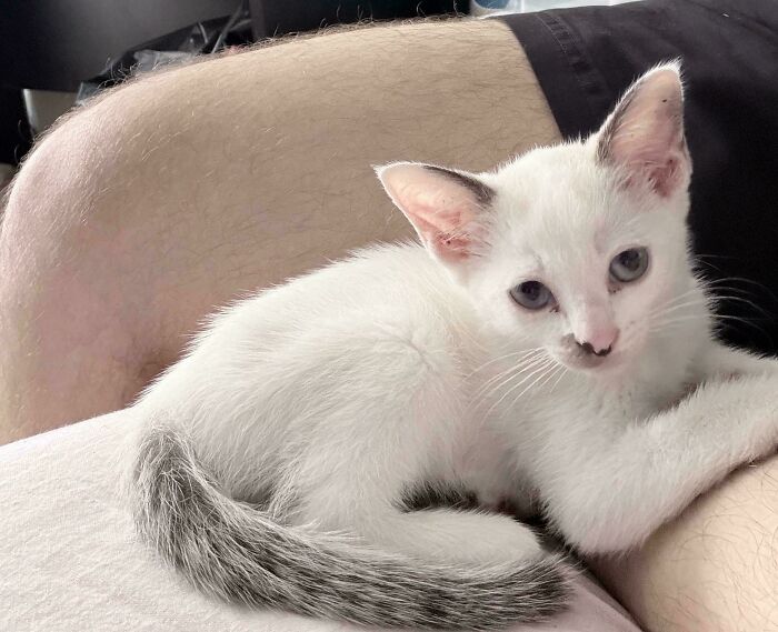 74 Adorable New Pets Who Just Hit The Jackpot With Their Forever Homes (January Edition)