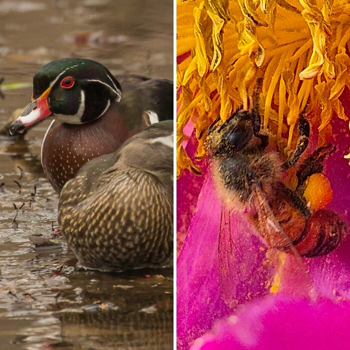 Wait, The Park Staff Took These Amazing Photos?!